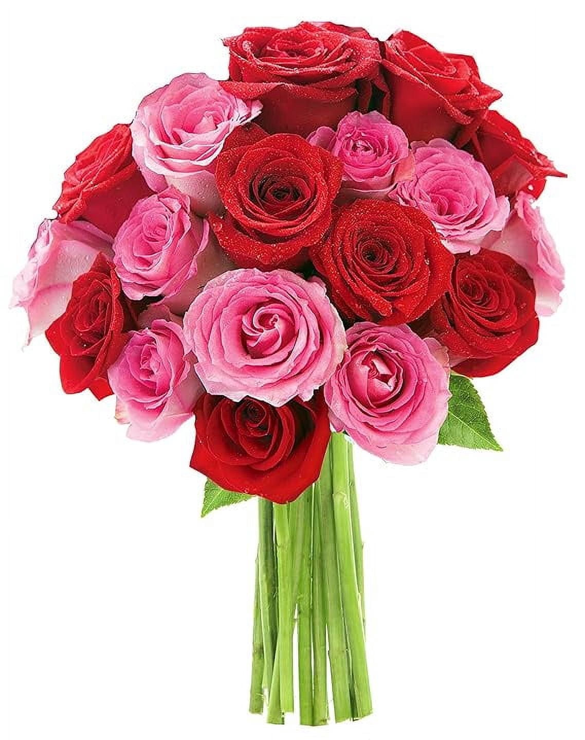 KaBloom :Bouquet of 9 Red Roses, 9 Pink Roses Next-Day Delivery, Gift ...