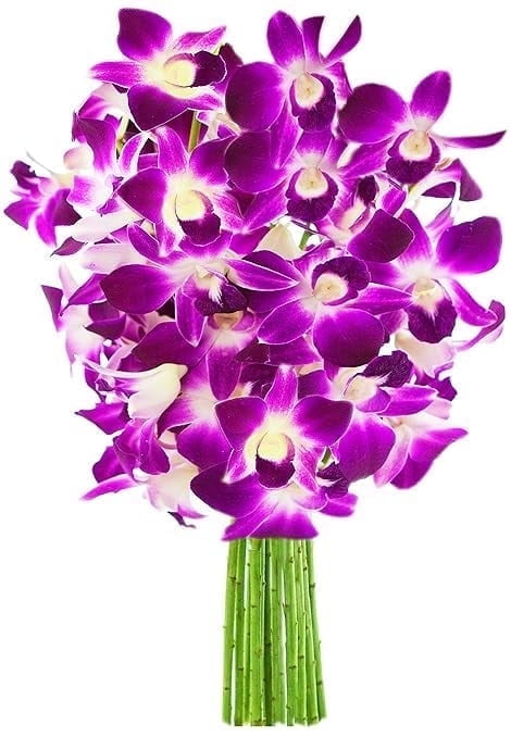 KaBloom : Bouquet of Fresh 10 Purple Orchids, Next-Day Delivery, Gift for Every Occasion.