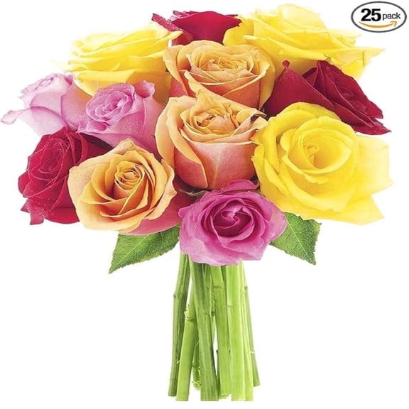 KaBloom : Bouquet of Fresh 12 Assorted Roses, Next-Day Delivery, Gift for Every Occasion.
