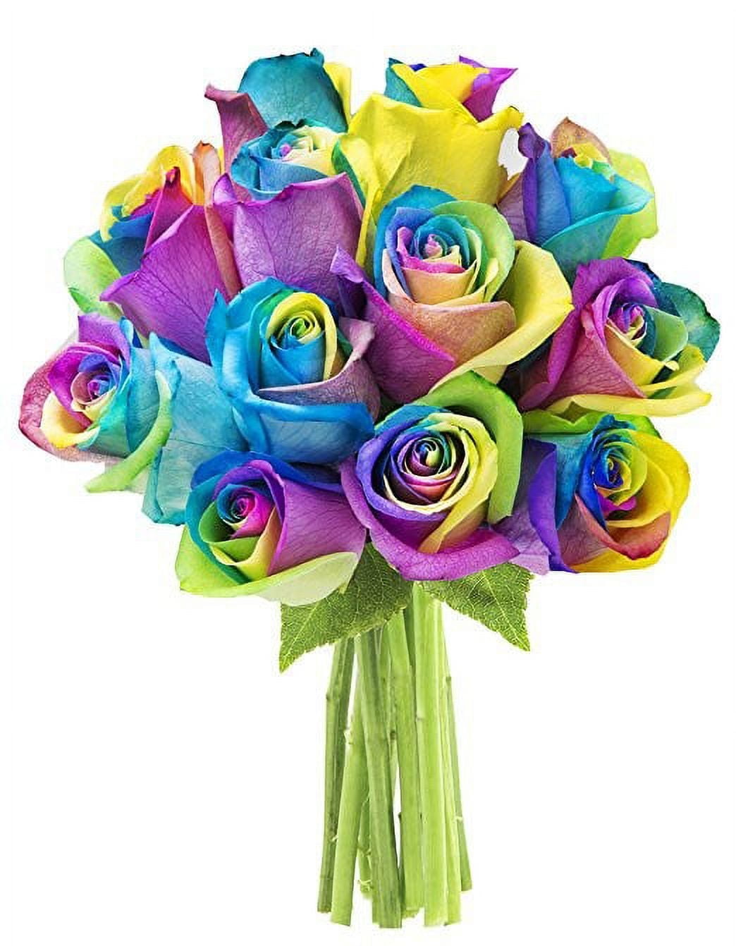 KaBloom : Bouquet of Fresh 12 Rainbow Roses, Next-Day Delivery, Gift for All Occasions