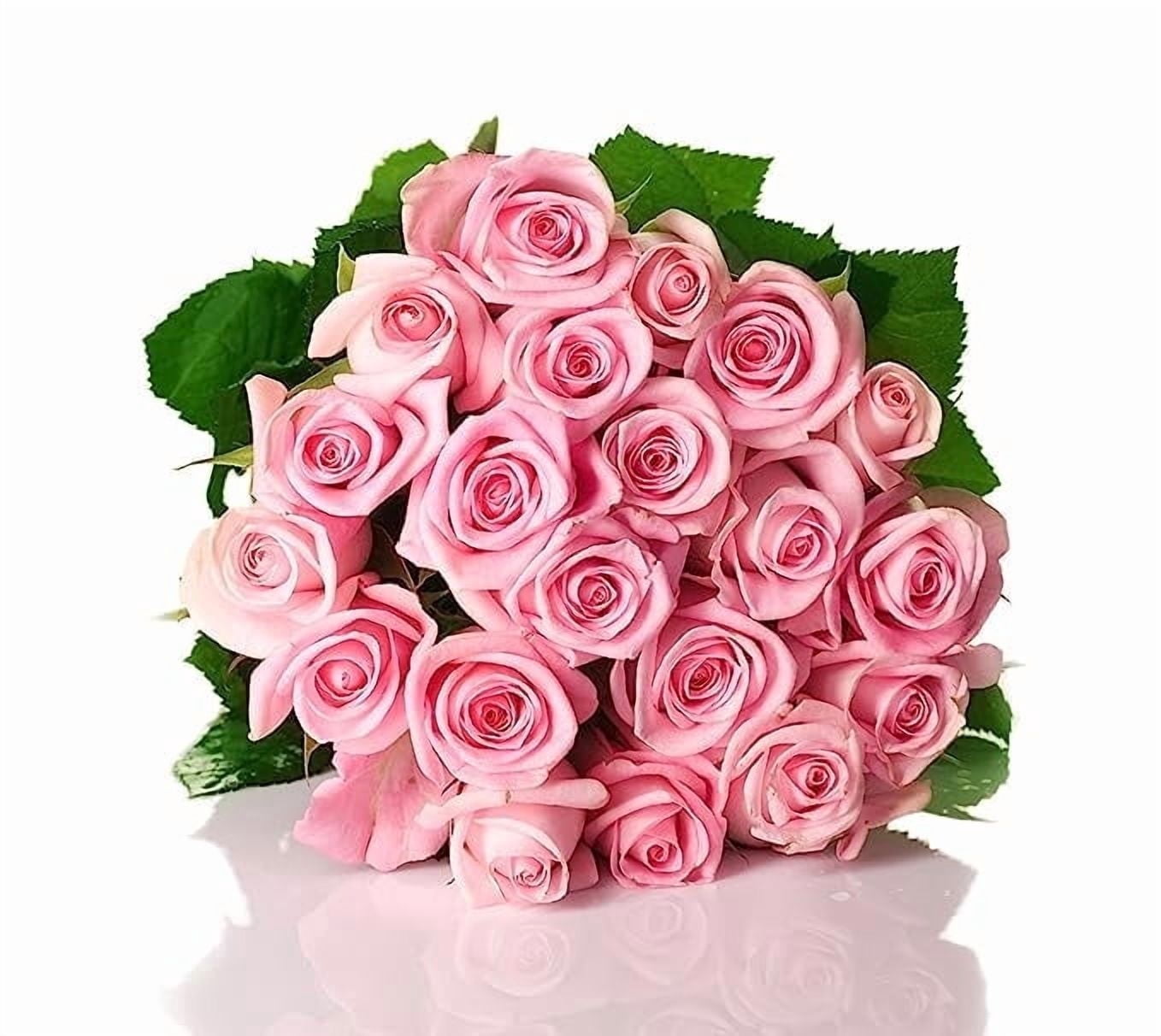 KaBloom Bouquet Of Fresh 18 Pink Roses Next Day Delivery Gift For kabloom-bouquet-of-fresh-18-pink-roses-next-day-delivery-gift-for