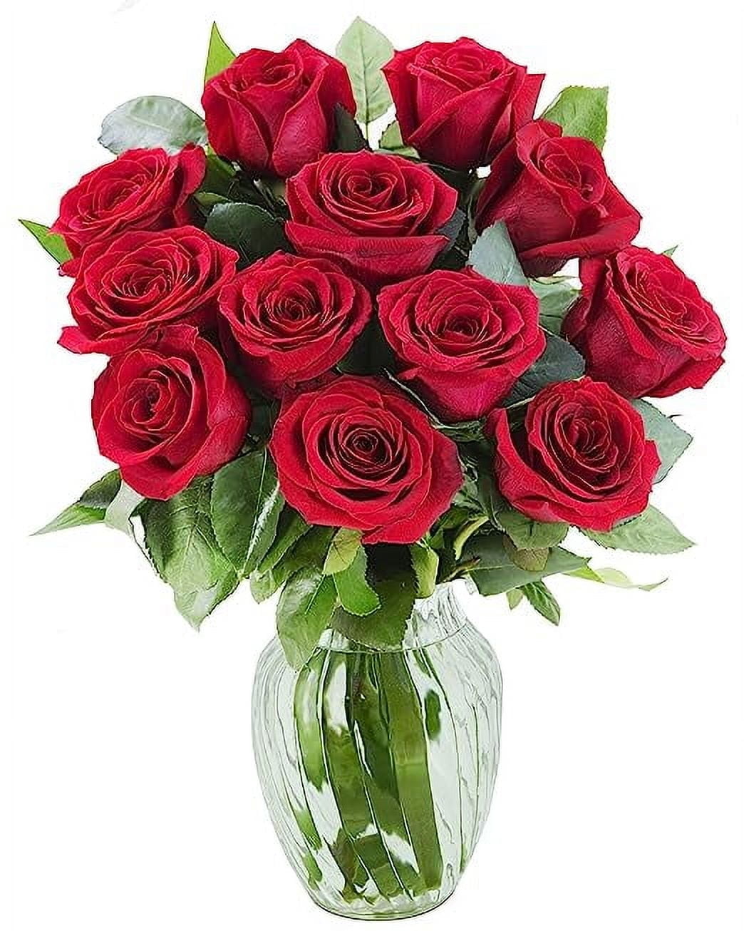 KaBloom : Bouquet of Fresh 18 Red Roses with Vase, Next-Day Delivery, Gift for all occasions