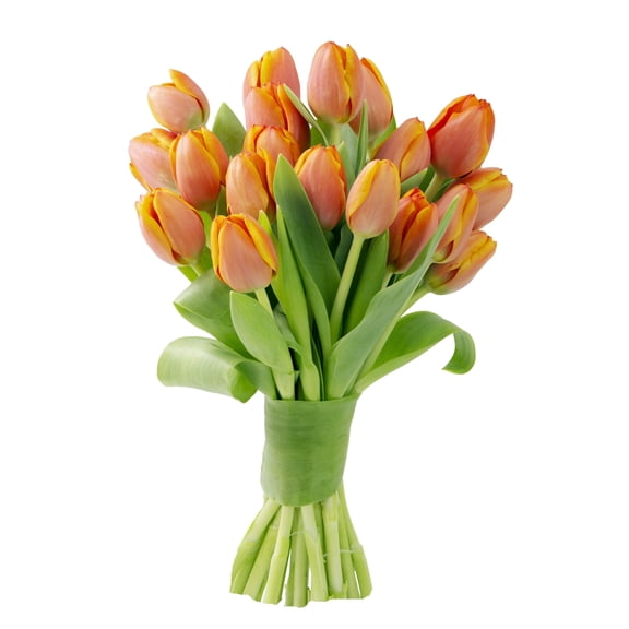 KaBloom : Bouquet of Fresh 20 Orange Tulips, Next-Day Delivery, Gift for all occasions