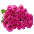 thumbnail image 1 of KaBloom: 25 Hot Pink Roses, Next-Day Delivery, Gift for Every Occasion., 1 of 4