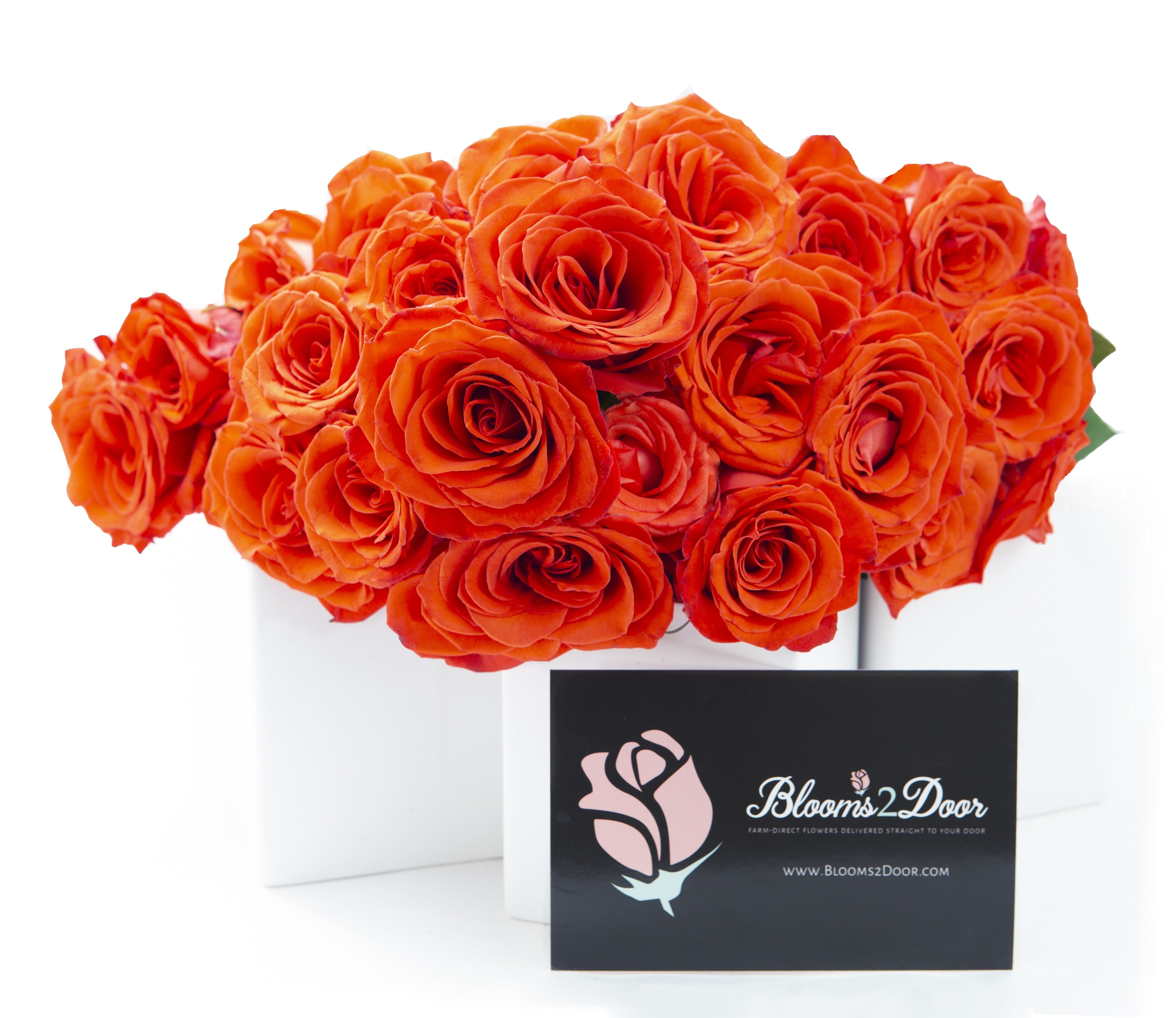 KaBloom : Bouquet of Fresh 25 Orange Roses, Next-Day Delivery, Gift for all occasions