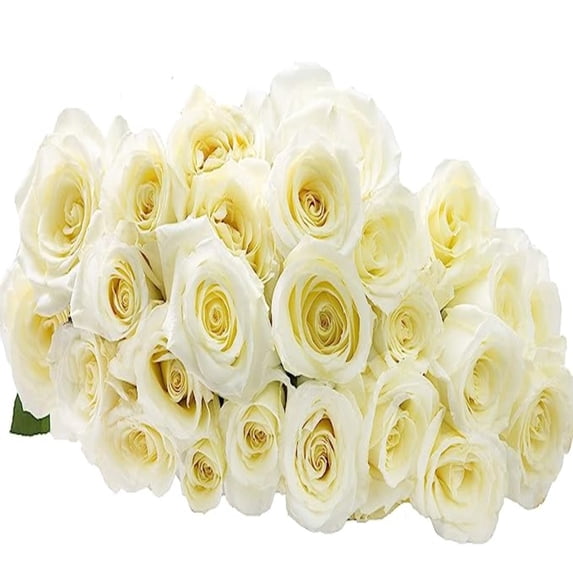 KaBloom : Bouquet of Fresh 25 White Roses, Next-Day Delivery, Gift for all occasions