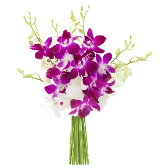 KaBloom 10 White, Purple Orchids, Next-Day Delivery