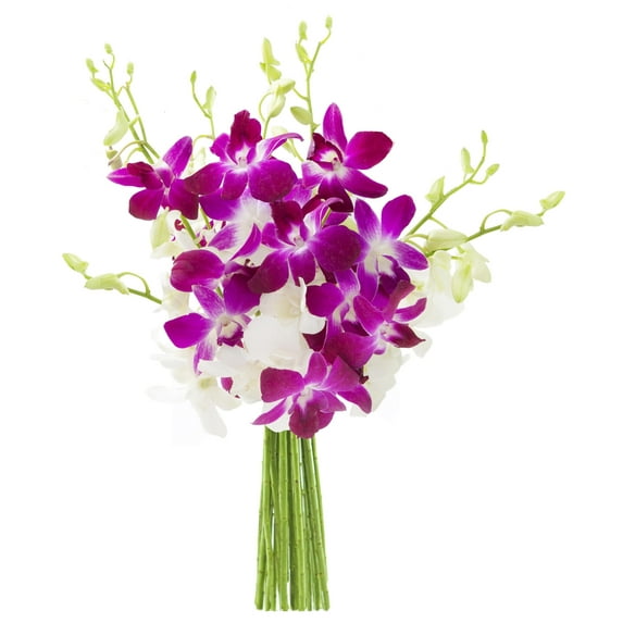 KaBloom : Bouquet of Fresh 5 White, 5 Purple Orchids, Next-Day Delivery, Gift for all occasions