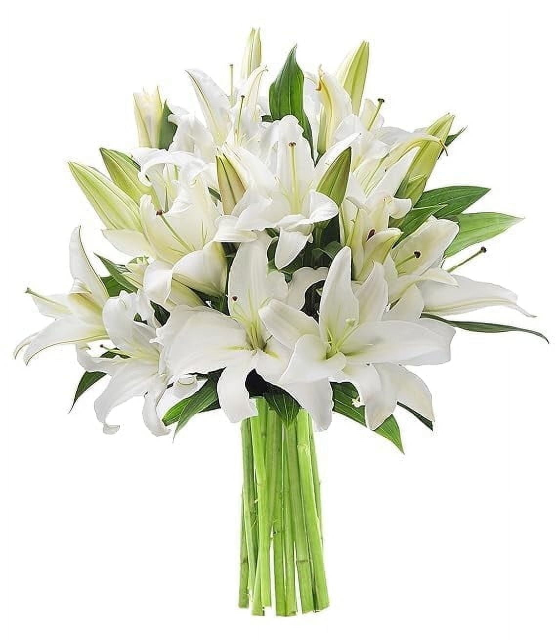KaBloom : Bouquet of Fresh 5 White Oriental lily, Next-Day Delivery, Gift for Every Occasion.