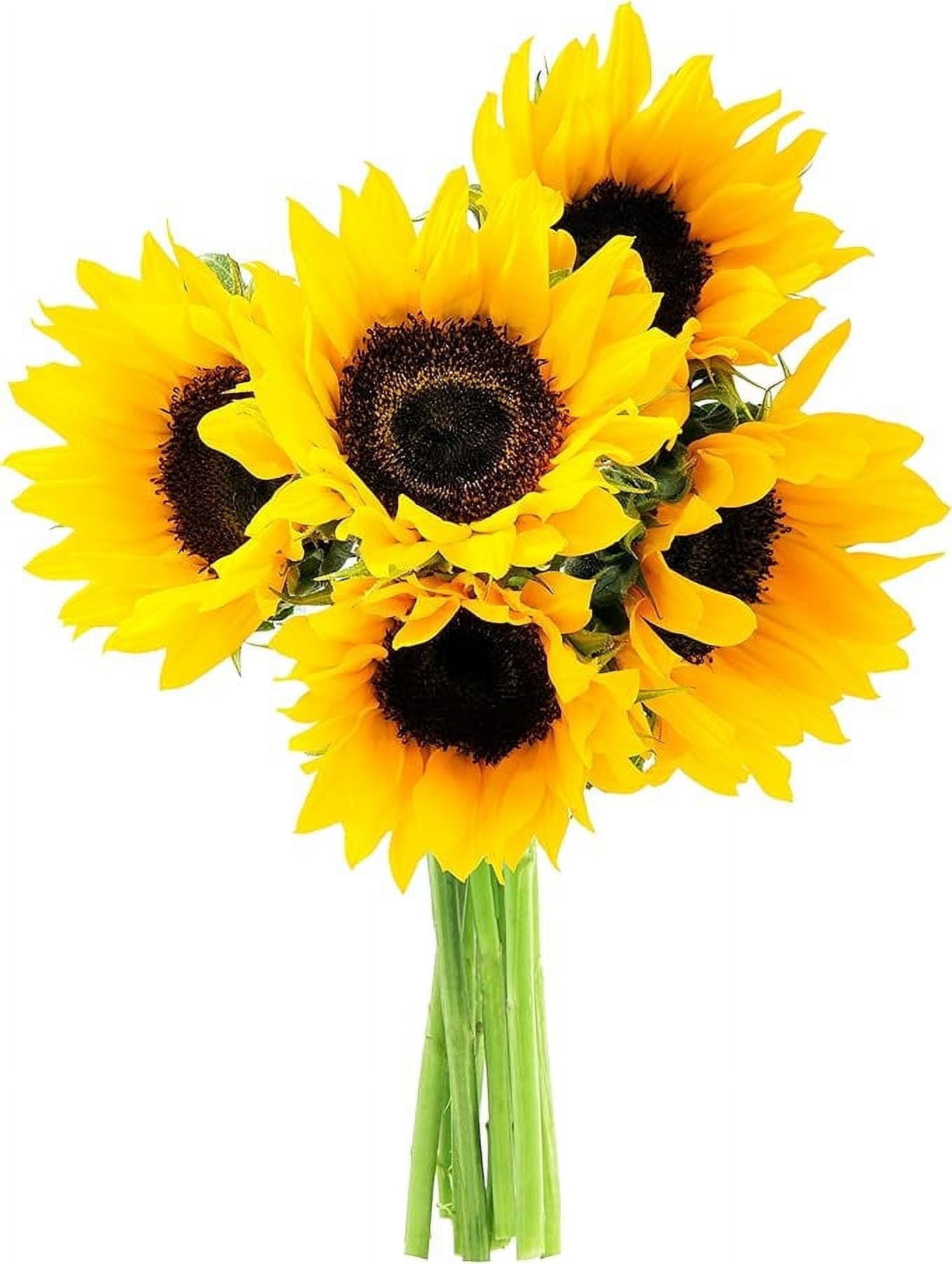 Kabloom Bouquet of Fresh 5 Yellow Sunflowers, Cut Flowers, Spring Florals