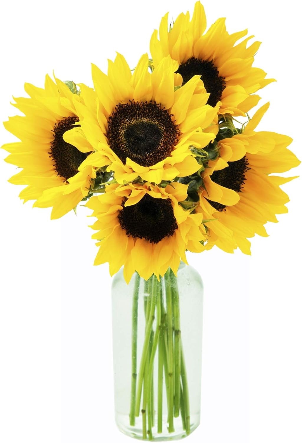 KaBloom : Bouquet of Fresh 5 Yellow Sunflowers in a Glass Vase, Next-Day Delivery