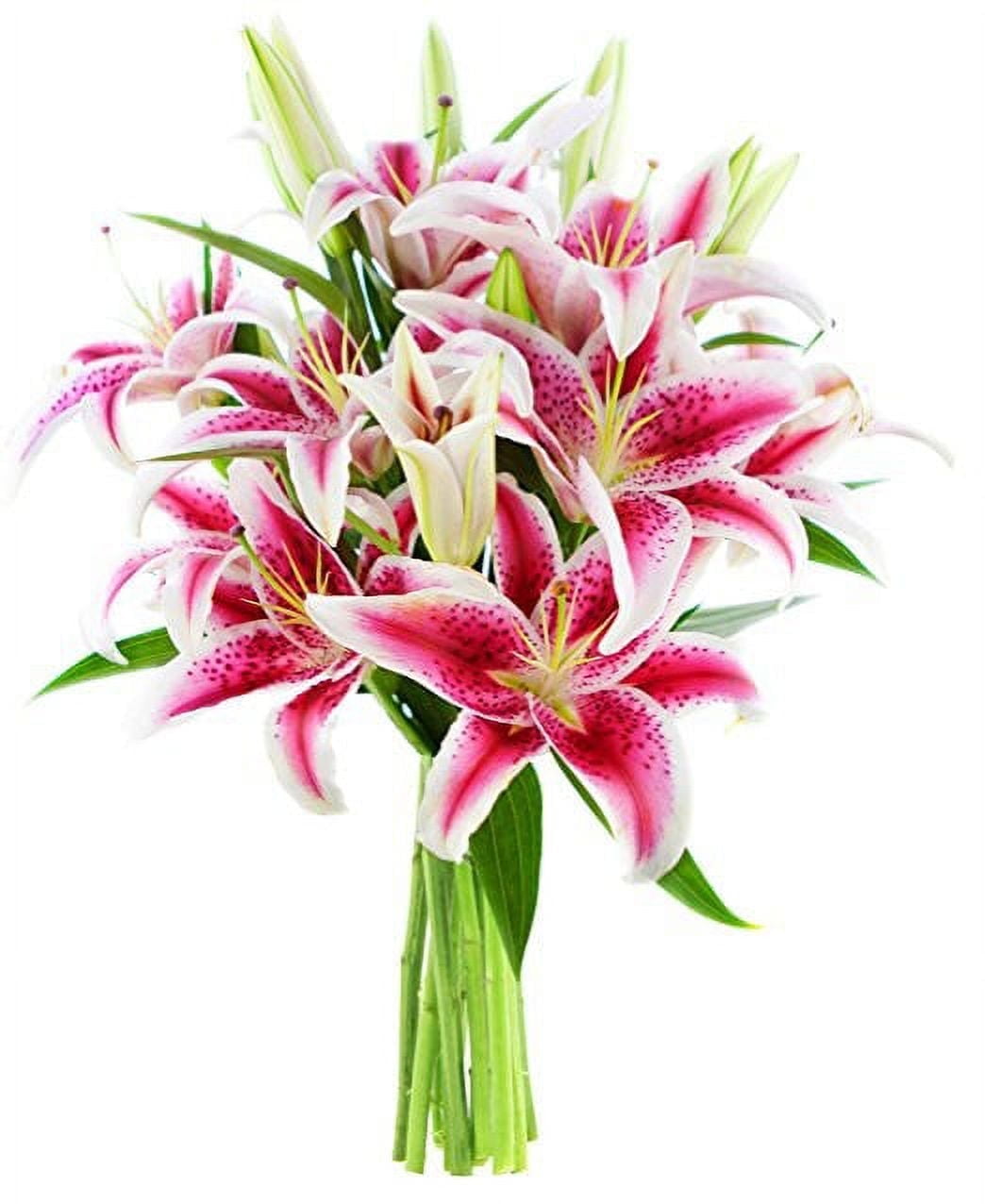 KaBloom : Bouquet of Fresh 8 Stargazer Lilies, Next-Day Delivery, Gift for all occasions