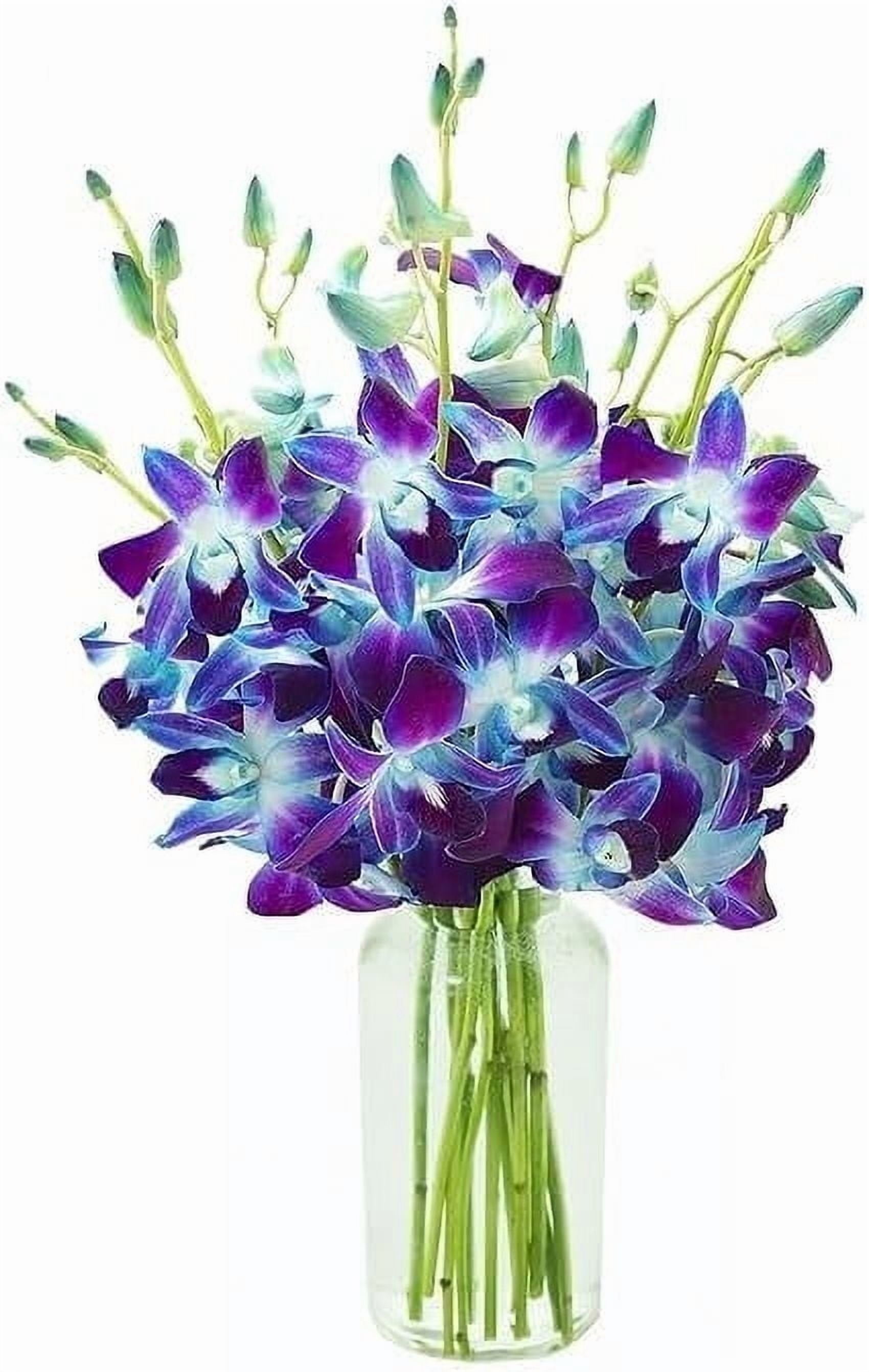 Kabloom Flowers - Handpicked Fresh Blue Orchids Cut Flowers with Vase
