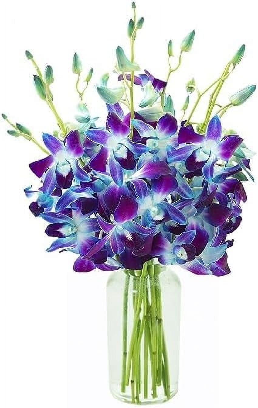 KaBloom : Bouquet of Fresh Blue Orchids with Vase, Next-Day Delivery, Gift for Every Occasion.