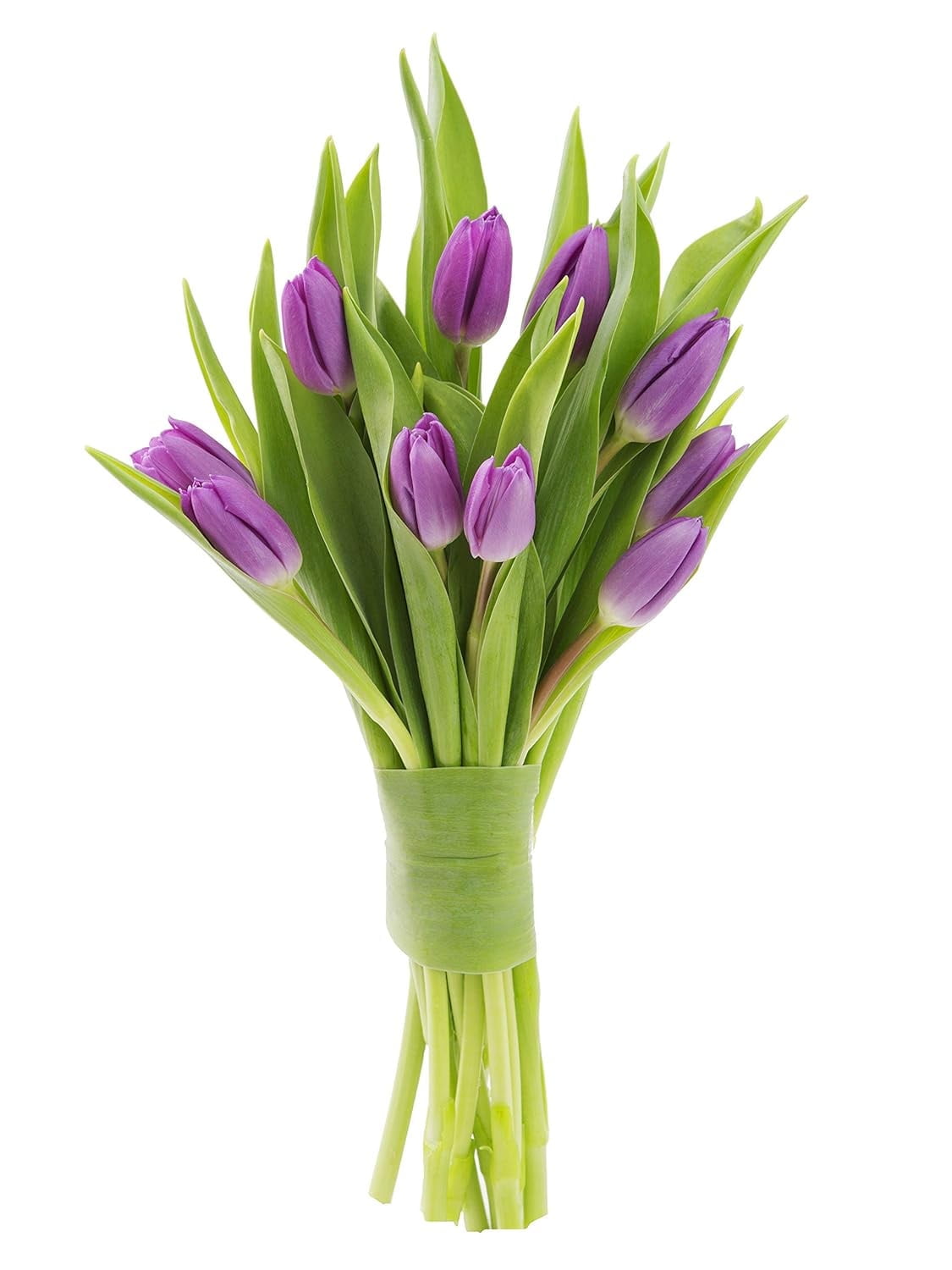 KaBloom Fall CollectionBouquet of 10 Purple Tulips, NextDay