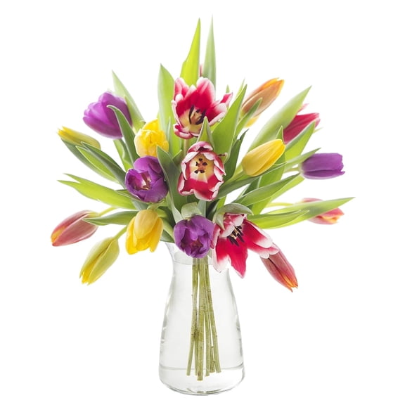 KaBloom : Bouquet of Fresh Rainbow of 10 Mixed Tulips in a Glass Vase, Next-Day Delivery