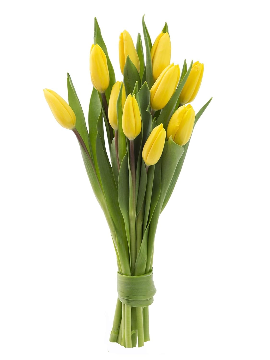 KaBloom Fall CollectionBouquet of 10 Yellow Tulips, NextDay
