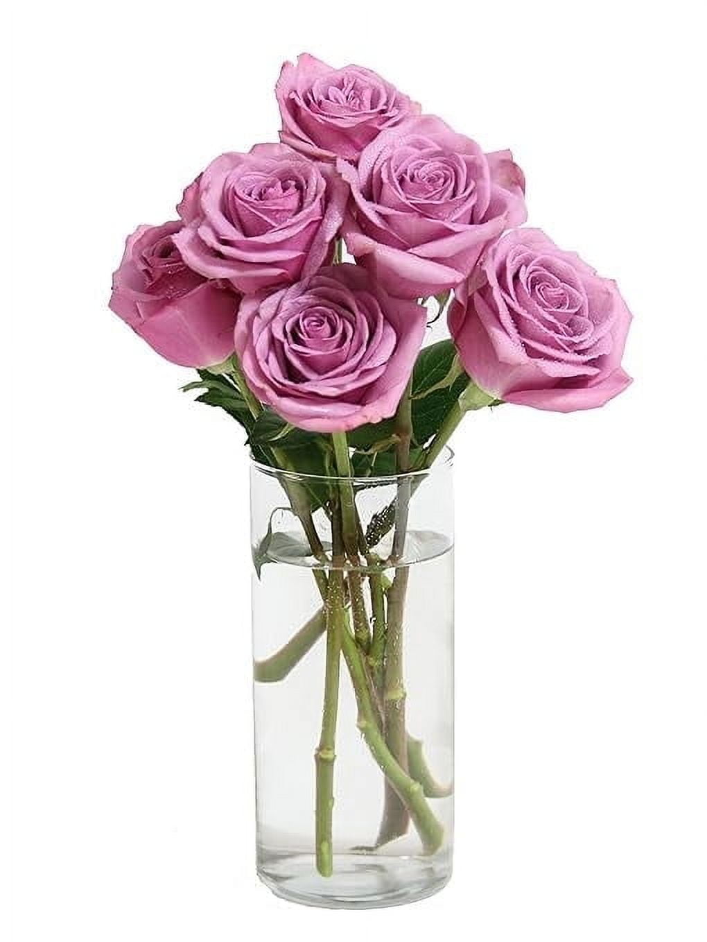 KaBloom : Fall Collection - Bouquet of 12 Red Roses - Gift for Birthday, Anniversary, Get Well, Thank You, Valentine, Mother's Day Fresh Flowers - Walmart.com KaBloom : Fall Collection - Bouquet of 12 Red Roses - Gift for Birthday, Anniversary, Get Well, Thank You, Valentine, Mother's Day Fresh Flowers - Walmart.com