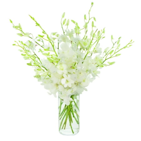 KaBloom NEXT DAY DELIVERY - Fall Collection - Exotic Perla White Orchid Bouquet of 20 Fresh White Orchids with Vase Gift for Birthday, Anniversary, Get Well, Thank You, Valentine, Mother's Day