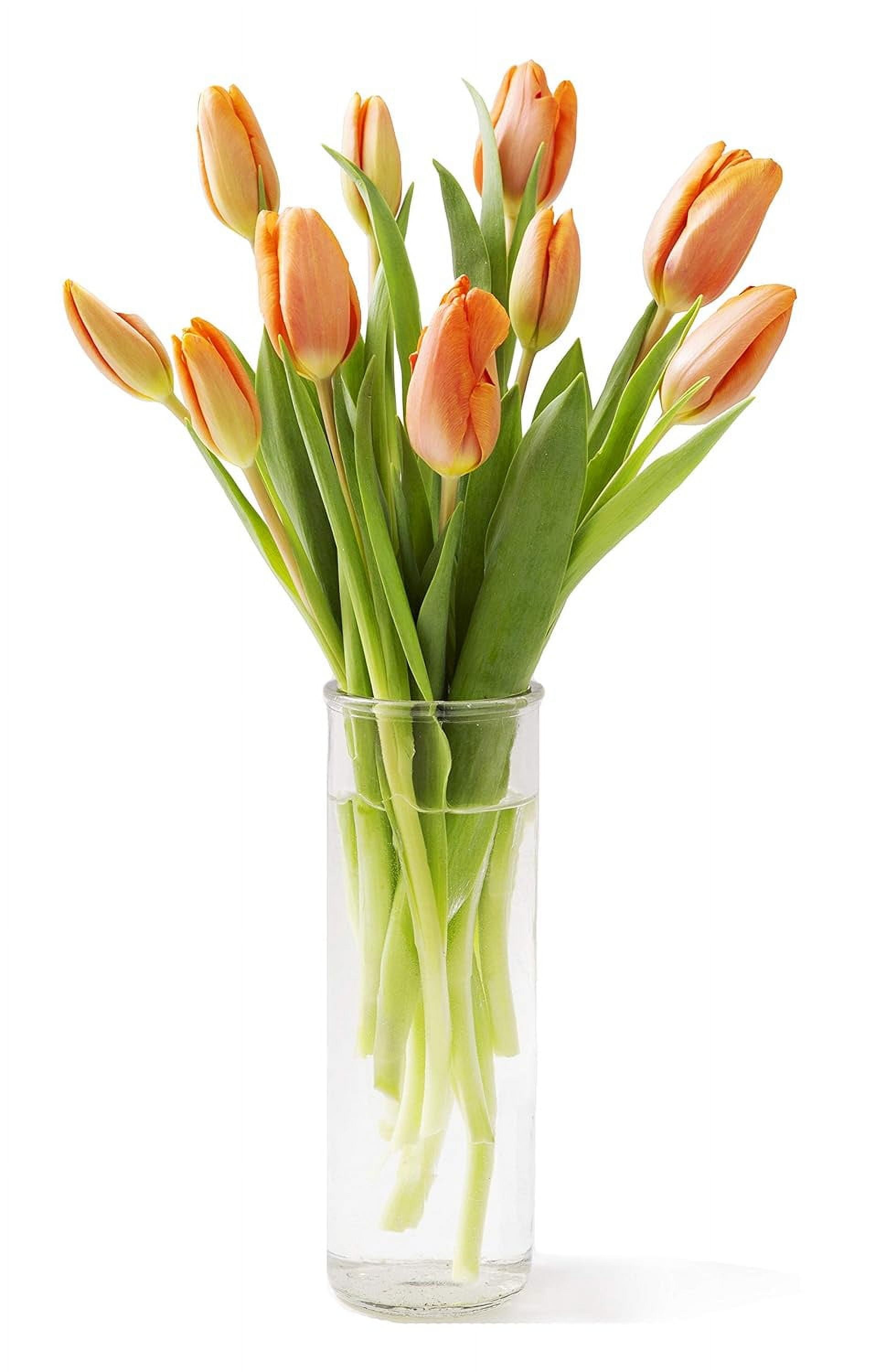 KaBloom Fall CollectionBouquet of 10 Orange Tulips in vase,NextDay
