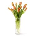 KaBloom Fall CollectionBouquet of 10 Orange Tulips in vase,NextDay