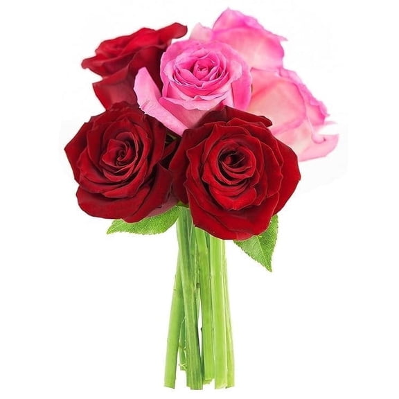 KaBloom : Fall Collection-Bouquet of 3 Red Roses, 3 Pink Roses, Next-Day Delivery, Gift of Fresh Flowers for Every Occasion.