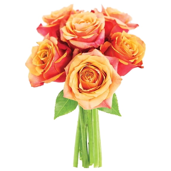 KaBloom : Fall Collection-Bouquet of 6 Orange Roses, 3 Greens, Next-Day Delivery, Gift of Fresh Flowers for Every Occasion.
