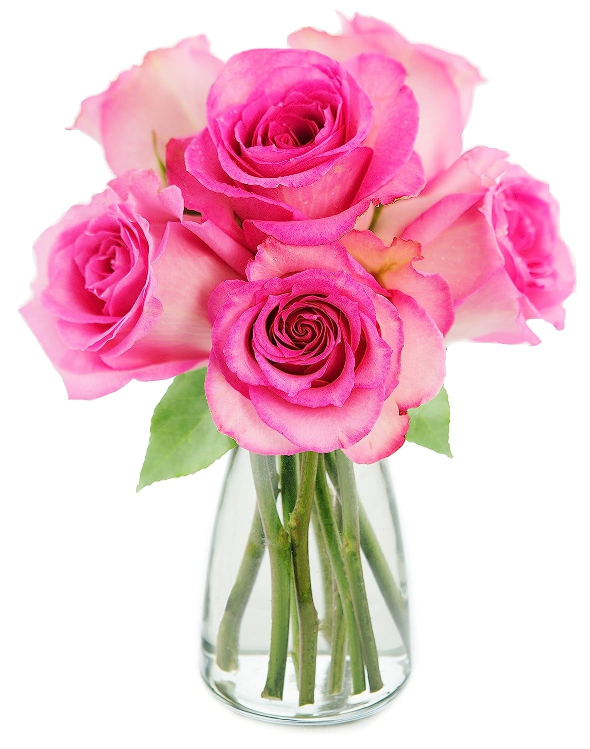 KaBloom: Fall Collection- Bouquet of 6 Pink Roses with Vase,Next-Day Delivery, Gift of Fresh Flowers for Every Occasion.