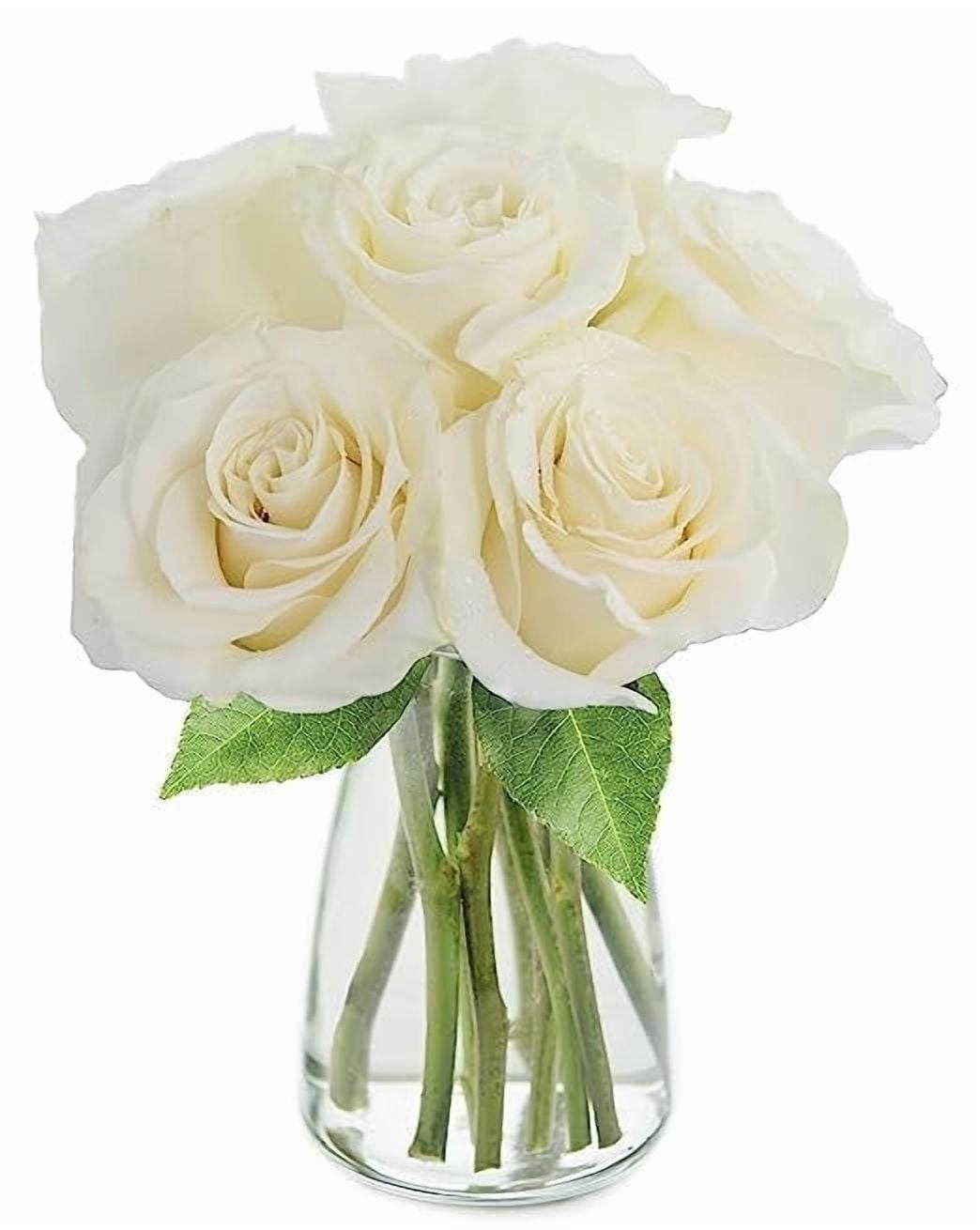 KaBloom: Fall Collection-Bouquet of 6 White Roses in vase,Next-Day Delivery, Gift of Fresh Flowers for Every Occasion.