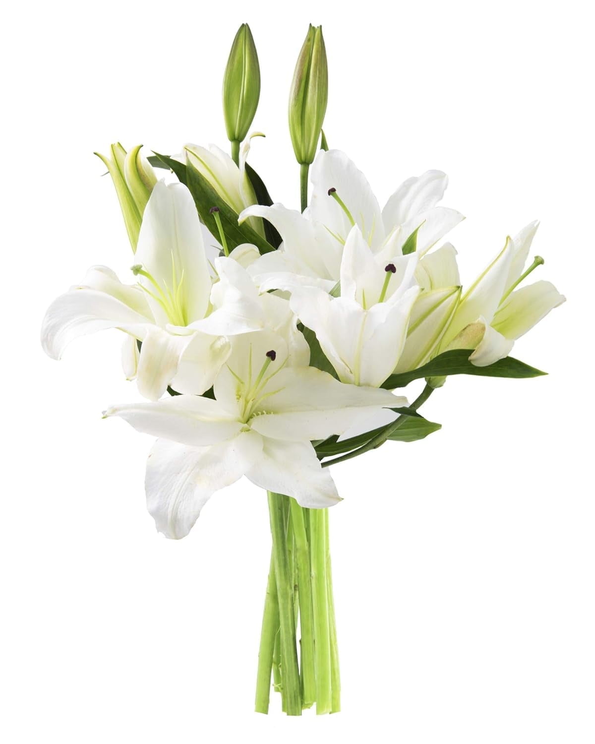 KaBloom: Fall Collection-Bouquet of 8 White Oriental Lilies,Next-Day ...