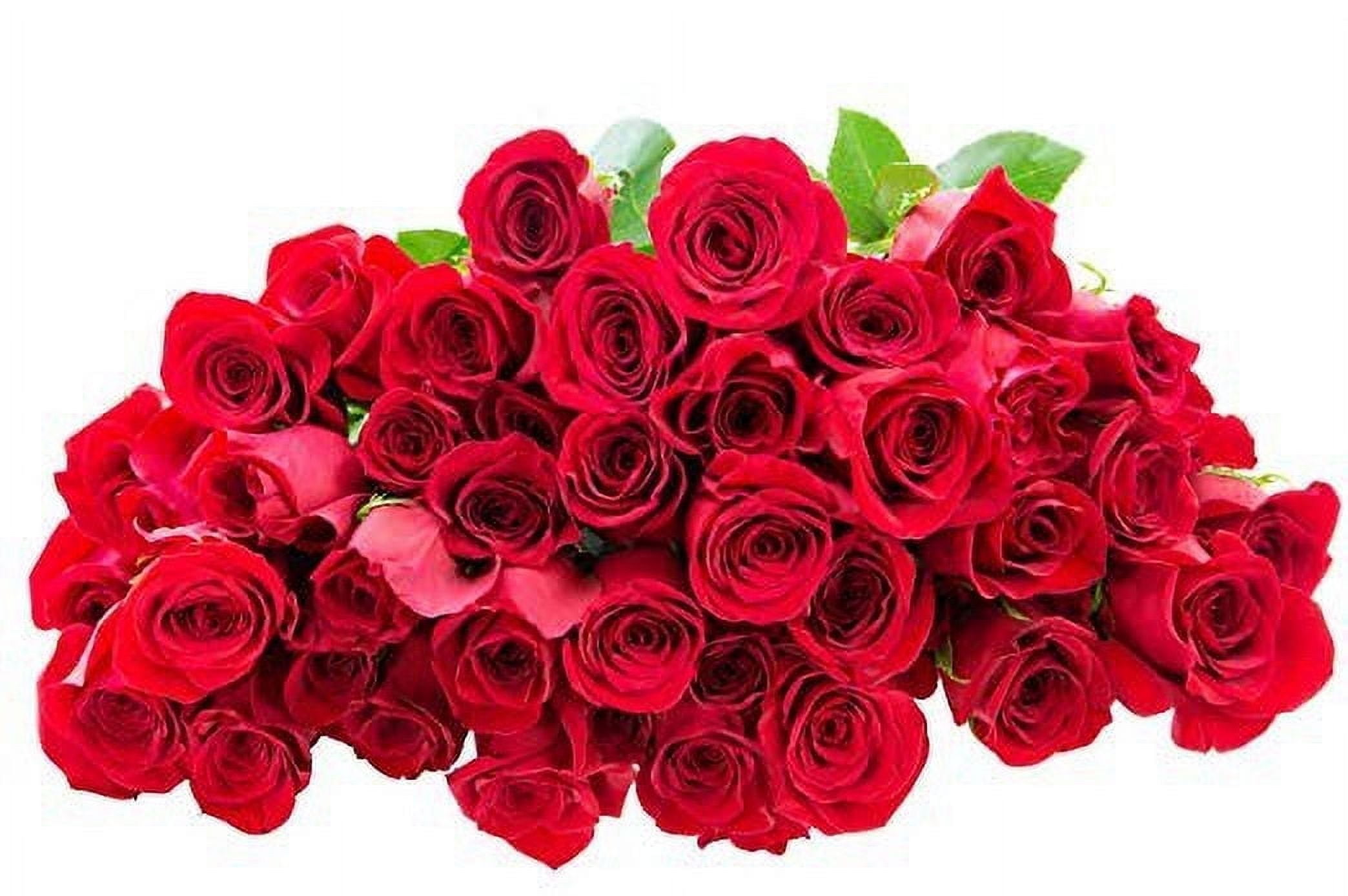 KaBloom: Fall Collection- Bouquet of Fresh 50 Red Roses, Next-Day Delivery, Gift for all occasions