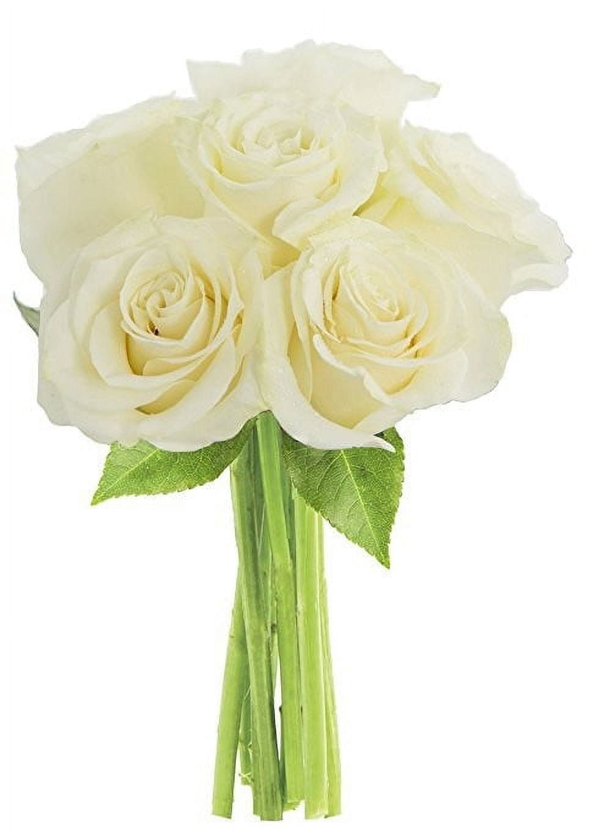 KaBloom : Bouquet of Fresh 6 White Roses, Next-Day Delivery, Gift for ...