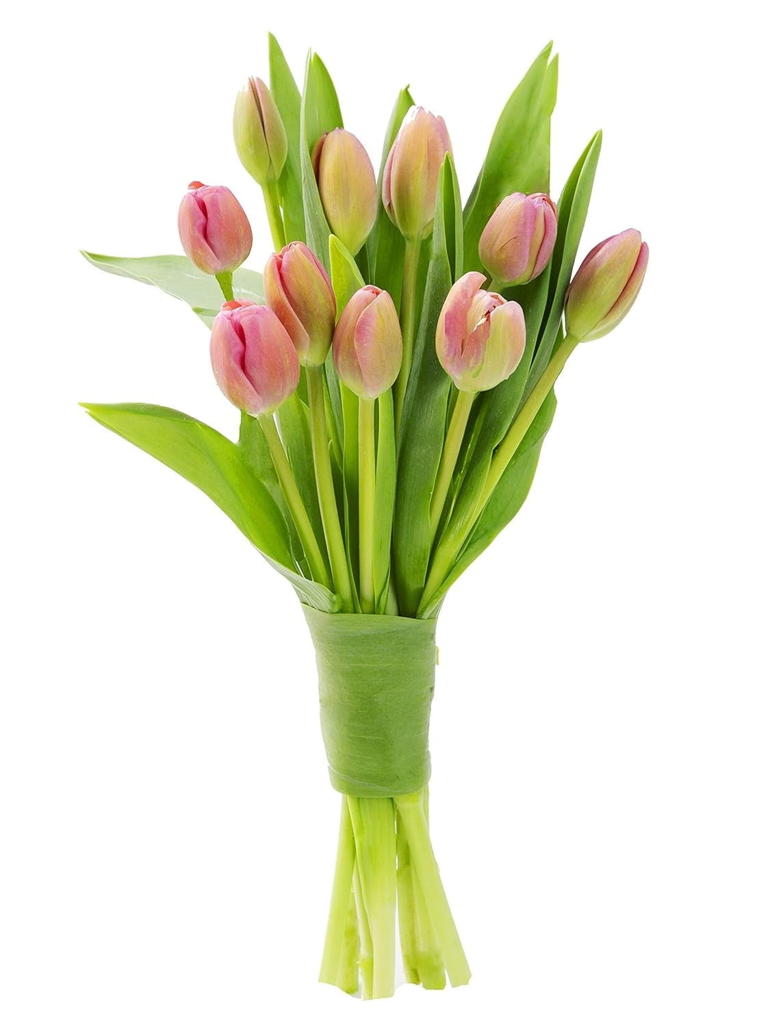 KaBloom : Fall Collection-Bouquet of Fresh Cut Flower 20 Pink tulips, Next-Day Delivery, Gift of Fresh Flowers for Every Occasion.