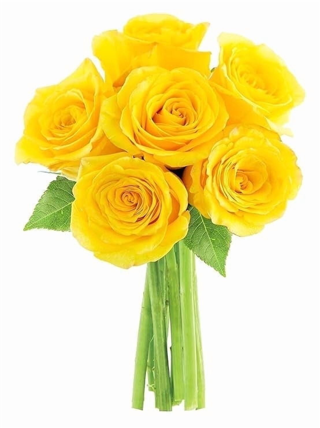 KaBloom: Fall Collection-Bouquet of Fresh Cut Flower 6 Yellow Roses,Next-Day Delivery, Gift of Fresh Flowers for Every Occasion.