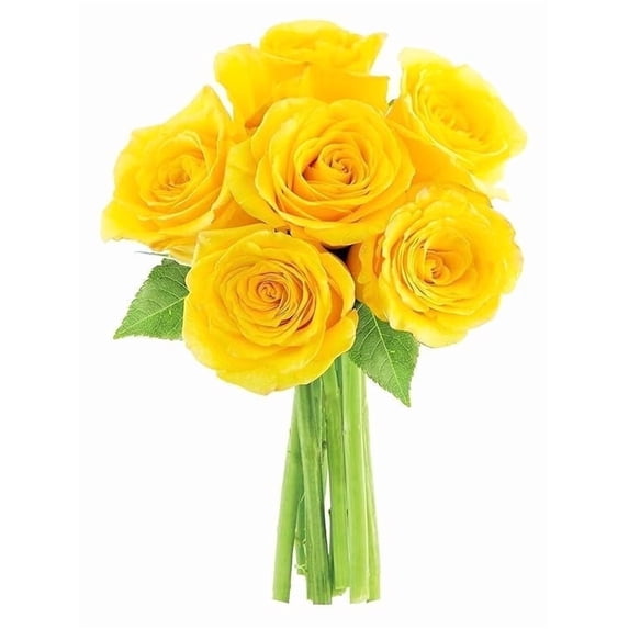 KaBloom: Fall Collection-Bouquet of Fresh Cut Flower 6 Yellow Roses,Next-Day Delivery, Gift of Fresh Flowers for Every Occasion.