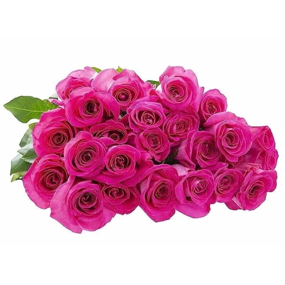 KaBloom : Fall Collection- Bulk 100 Hot Pink Roses, Next-Day Delivery, Gift of Fresh Flowers for Every Occasion.