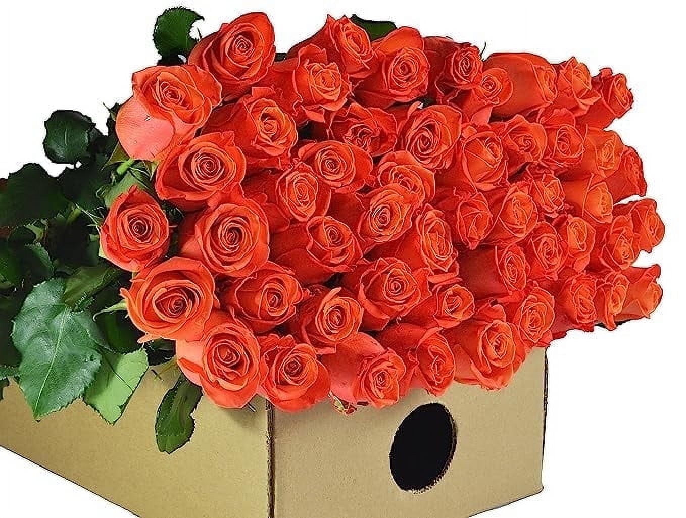 KaBloom : Fall Collection- Bulk 100 Orange Roses, Next-Day Delivery, Gift of Fresh Flowers for Every Occasion.