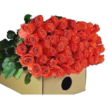 KaBloom : Fall Collection- Bulk 100 Orange Roses, Next-Day Delivery, Gift of Fresh Flowers for Every Occasion.