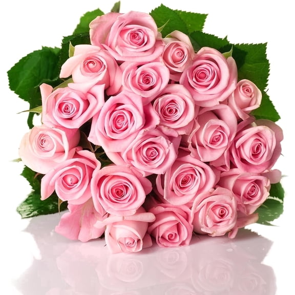 Kabloom Fresh Pink Roses Bouquet - 100 Stems, Next-Day Delivery