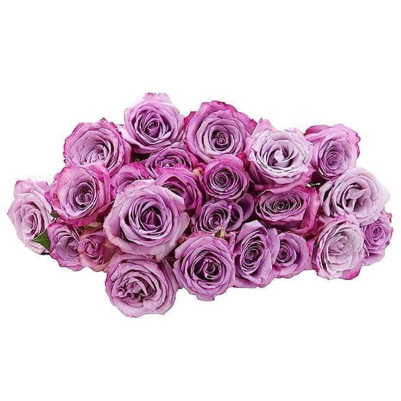 KaBloom : Fall Collection- Bulk 100 Purple Roses, Next-Day Delivery, Gift of Fresh Flowers for Every Occasion.