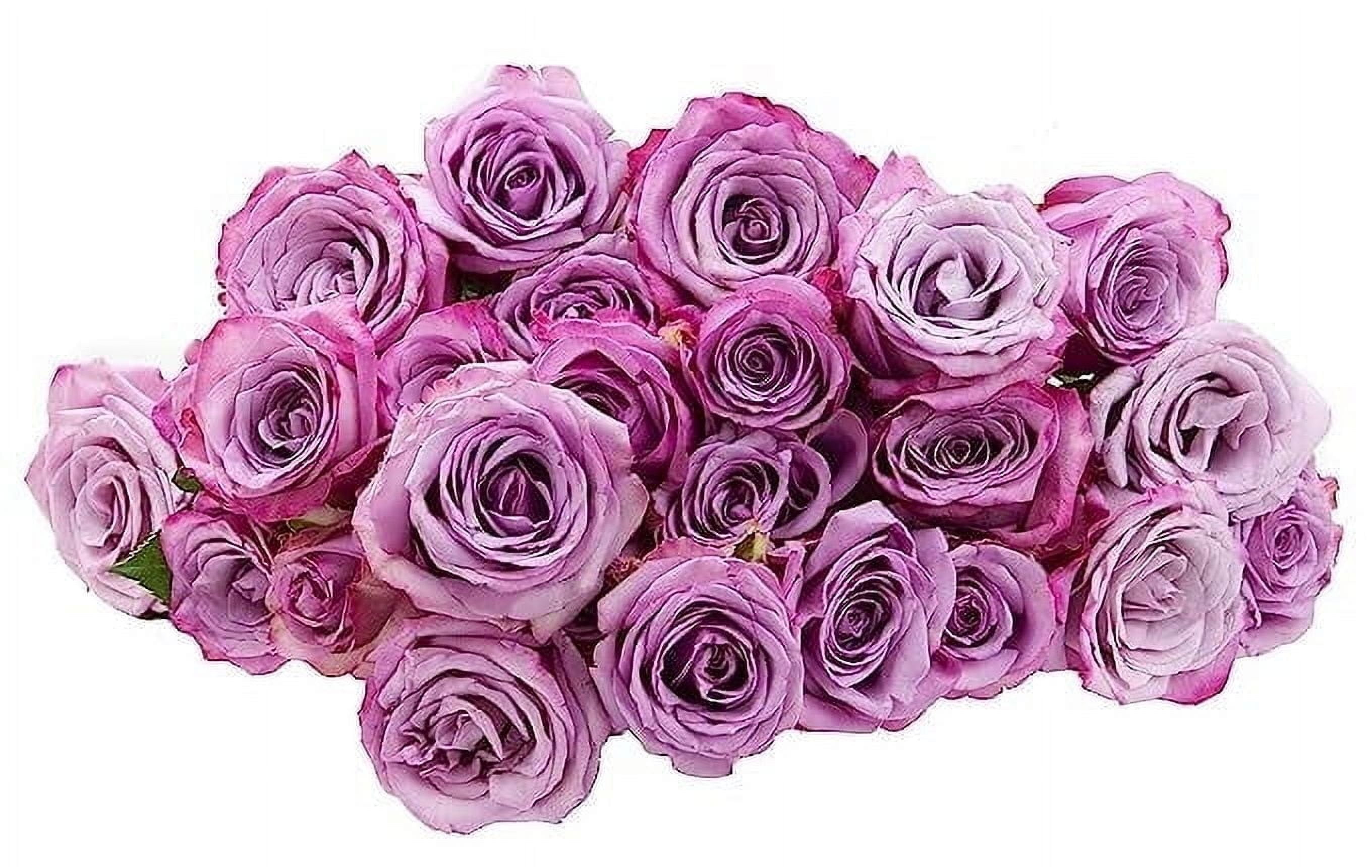 KaBloom : Fall Collection- Bulk 100 Purple Roses, Next-Day Delivery, Gift of Fresh Flowers for Every Occasion.