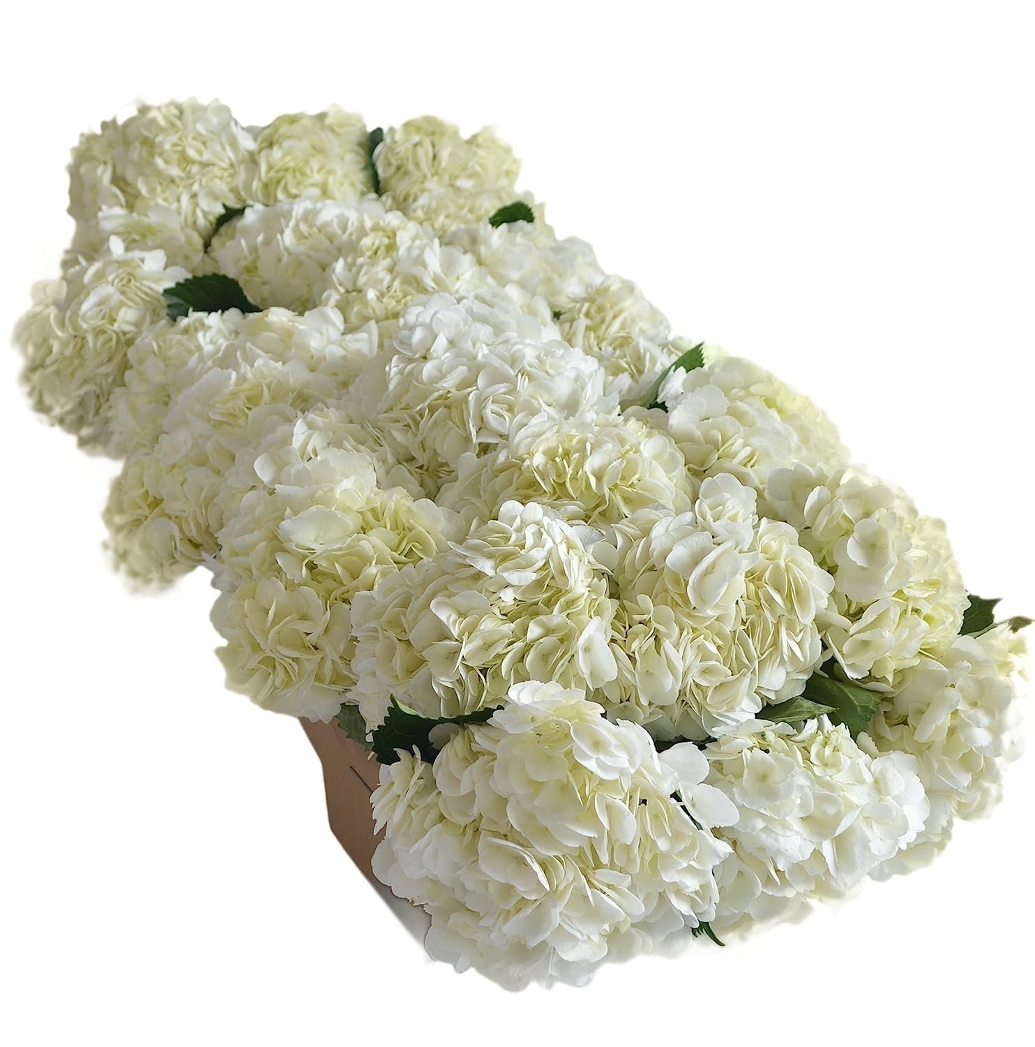 KaBloom : Fall Collection - Bulk 30 White Hydrangeas , Next-Day Delivery, Gift of Fresh Flowers for Every Occasion.