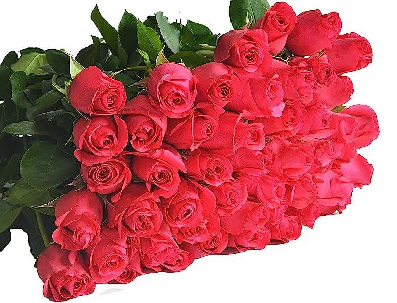 KaBloom NEXT DAY Fresh Flower Delivery - 12 Red Roses & Greens Bouquet With Vase - Birthday, Anniversary Gift