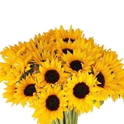 Kabloom Fall Collection Bulk 50 Yellow Sunflowers Cut Flowers