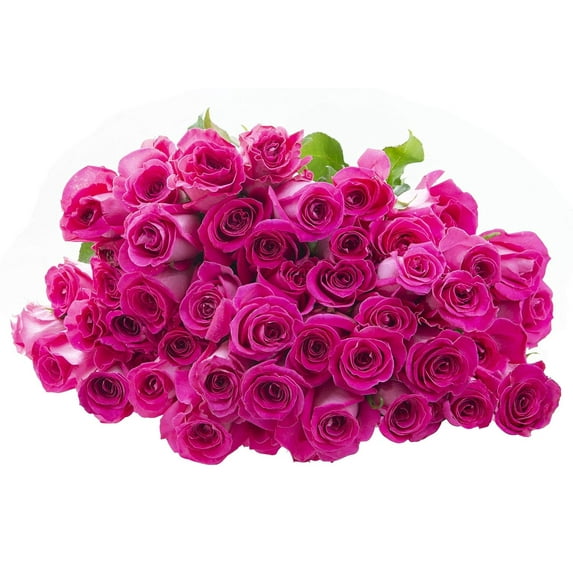 KaBloom: Fall Collection- Bulk50 Hot Pink Roses,Next-Day Delivery, Gift of Fresh Flowers for Every Occasion.