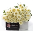 thumbnail image 1 of Kabloom Fresh 50 White Roses - Farm Direct, 1 of 4
