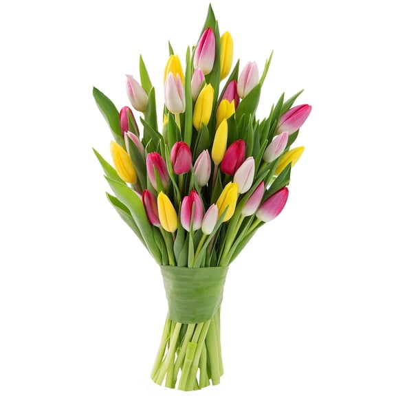 KaBloom : Fall Collections-Bouquet of 10 Red Tulips, 10 Orange Tulips, 10 Yellow Tulips