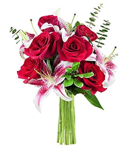 Israeli Roses KaBloom : Fall Collections-Bouquet of 6 Red Roses, 3 Pink Stargazers, 6 ...