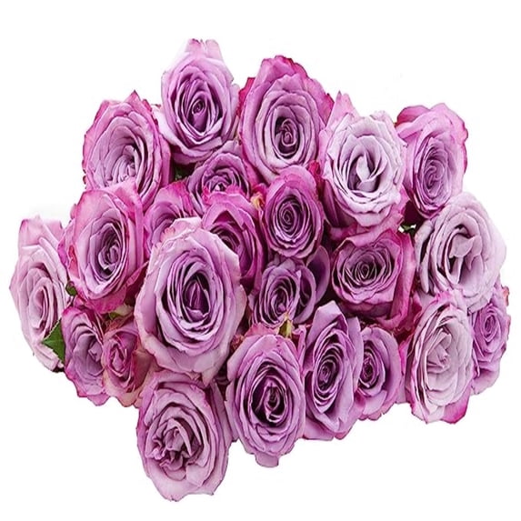 KaBloom : Fresh 50 Purple Roses Wholesale Fresh Flowers, Next-Day Delivery, Gift for all occasions