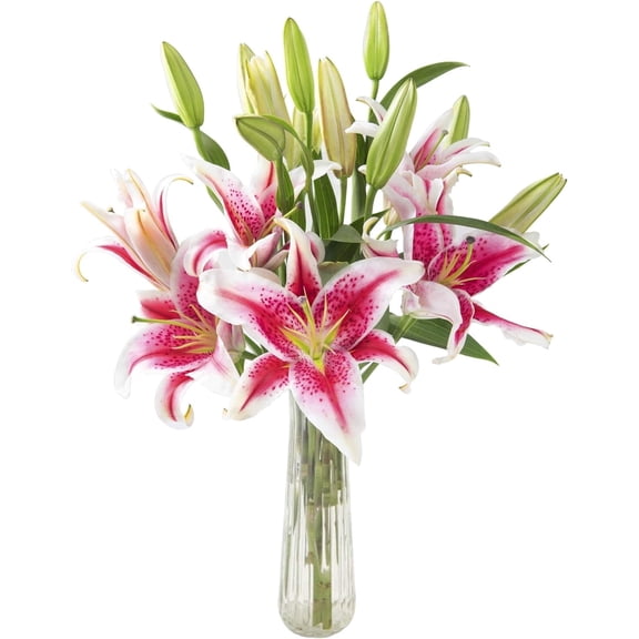 KaBloom Fresh Cut Flowers Bouquet of 5 Pink Lilies without Vase, Fragrant, Gift for all occasions